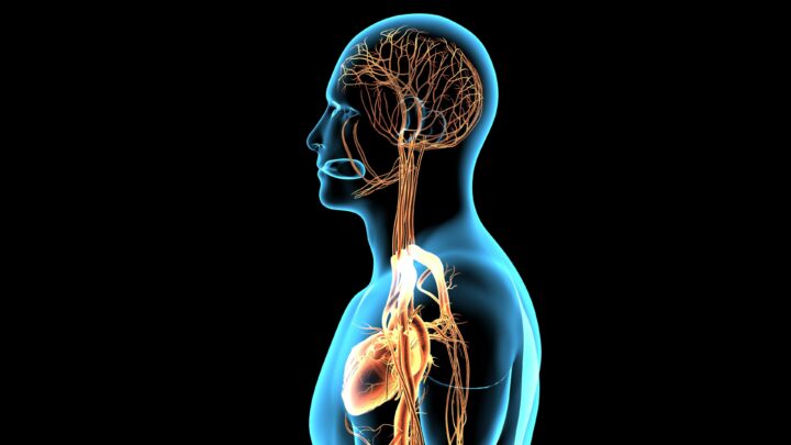 浅草のPRI理論に基づいたパーソナルトレーニングジム